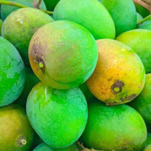 গোপালভোগ আম | ১০ কেজি