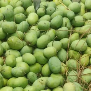 ল্যাংড়া আম | ২৫ কেজি